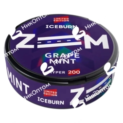ICEBURN - ZOOM - GRAPE MINT (200mg)