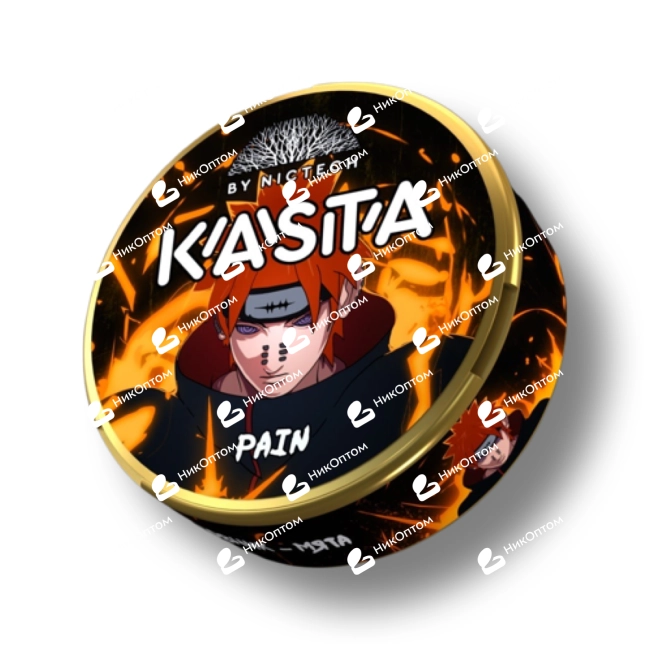 KASTA - Anime 120mg - Pain - Крыжовник-Мята — купить снюс оптом в НикОптом